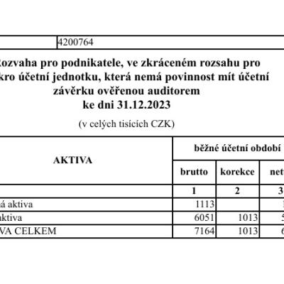 Účetní závěrka dodaná Finanční úřadem